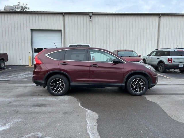 Used 2016 Honda CR-V SE with VIN 5J6RM4H44GL058593 for sale in Cape Girardeau, MO