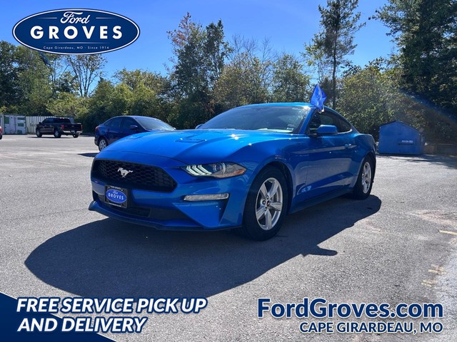 2020 Ford Mustang EcoBoost Fastback at Ford Groves in Cape Girardeau MO