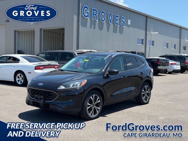 Cape Girardeau MO 2021 Ford Escape more details - ford escape