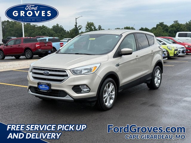 Cape Girardeau MO 2017 Ford Escape more details - ford escape