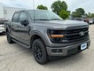 2024 Ford F-150 XLT thumbnail image 02