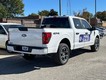 2024 Ford F-150 STX thumbnail image 03