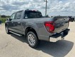 2024 Ford F-150 XLT thumbnail image 05