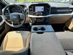 2023 Ford F-150 4WD XLT SuperCrew thumbnail image 11