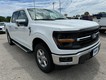 2024 Ford F-150 XLT thumbnail image 02