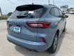 2024 Ford Escape ST-Line thumbnail image 03