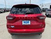 2024 Ford Escape ST-Line thumbnail image 04