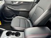 2024 Ford Escape ST-Line thumbnail image 08