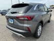 2024 Ford Escape Active thumbnail image 03