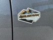 2024 Ford Bronco Wildtrak thumbnail image 04