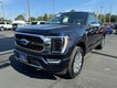 2021 Ford F-150 4WD Platinum SuperCrew thumbnail image 08