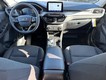 2024 Ford Escape Active thumbnail image 06