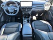 2024 Ford Escape ST-Line thumbnail image 06