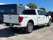 2024 Ford F-150 XLT thumbnail image 03