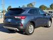 2020 Ford Escape SE thumbnail image 03