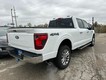 2024 Ford F-150 XLT thumbnail image 03