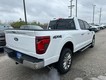 2024 Ford F-150 XLT thumbnail image 03