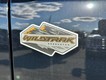 2024 Ford Bronco Wildtrak thumbnail image 05