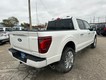 2024 Ford F-150 Platinum thumbnail image 03