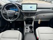 2025 Ford Escape Platinum thumbnail image 06