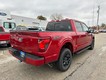 2024 Ford F-150 XLT thumbnail image 03