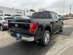 2024 Ford F-150 LARIAT thumbnail image 03