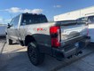 2024 Ford Super Duty F-350 SRW Platinum thumbnail image 04