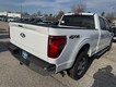 2024 Ford F-150 XLT 4WD SuperCrew Box thumbnail image 03