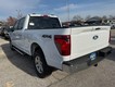 2024 Ford F-150 XLT 4WD SuperCrew Box thumbnail image 05