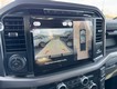 2024 Ford F-150 XLT 4WD SuperCrew Box thumbnail image 15