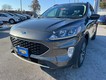 2020 Ford Escape SEL thumbnail image 08