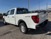 2024 Ford F-150 XL thumbnail image 05