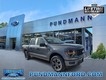 2024 Ford F-150 STX thumbnail image 01