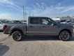 2024 Ford F-150 STX thumbnail image 02