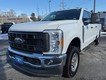 2023 Ford Super Duty F-250 SRW 4WD XL Crew Cab thumbnail image 08