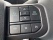 2025 Ford Super Duty F-250 SRW XLT thumbnail image 12