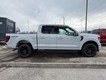 2025 Ford F-150 XLT 4WD SuperCrew Box thumbnail image 02