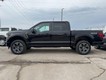 2025 Ford F-150 STX thumbnail image 04