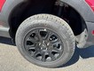 2025 Ford Bronco Sport Badlands thumbnail image 06