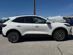 2025 Ford Escape PHEV thumbnail image 02