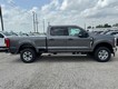 2025 Ford Super Duty F-250 SRW XLT thumbnail image 02
