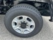 2025 Ford Super Duty F-250 SRW XLT thumbnail image 06