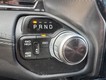 2022 Ram 2500 4WD Limited Crew Cab thumbnail image 18