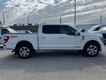 2023 Ford F-150 4WD Platinum SuperCrew thumbnail image 02