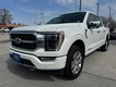 2023 Ford F-150 4WD Platinum SuperCrew thumbnail image 08