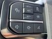 2023 Ford F-150 4WD Platinum SuperCrew thumbnail image 17