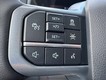 2025 Ford F-150 Lightning Flash thumbnail image 11