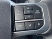 2025 Ford F-150 Lightning Flash thumbnail image 12