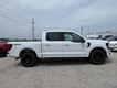 2025 Ford F-150 XLT 4WD SuperCrew Box thumbnail image 02