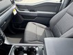 2025 Ford F-150 XLT 4WD SuperCrew Box thumbnail image 09